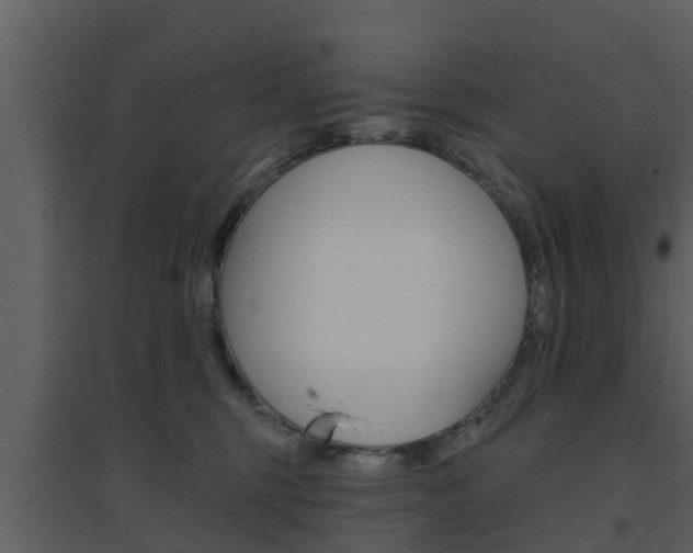 X0000094790375200711160922