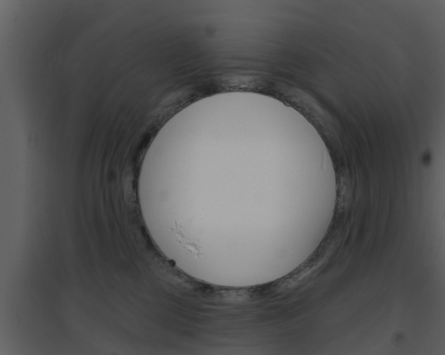 X0000094790377200711160922