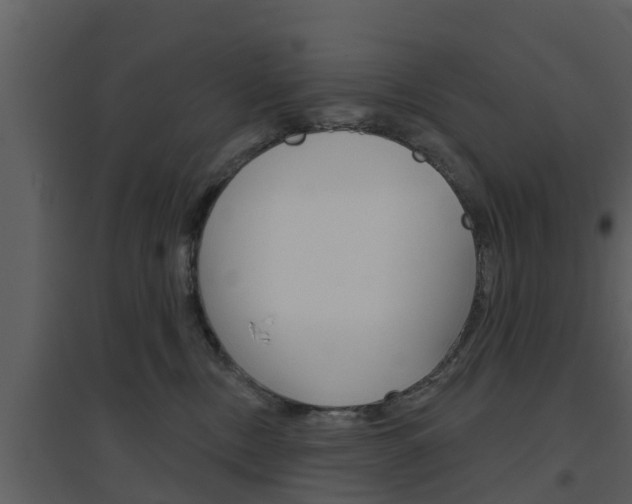 X0000094790378200711160922