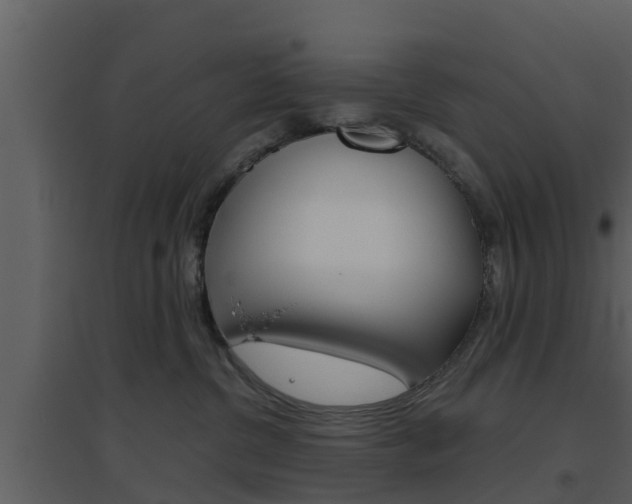X0000094790380200711160922