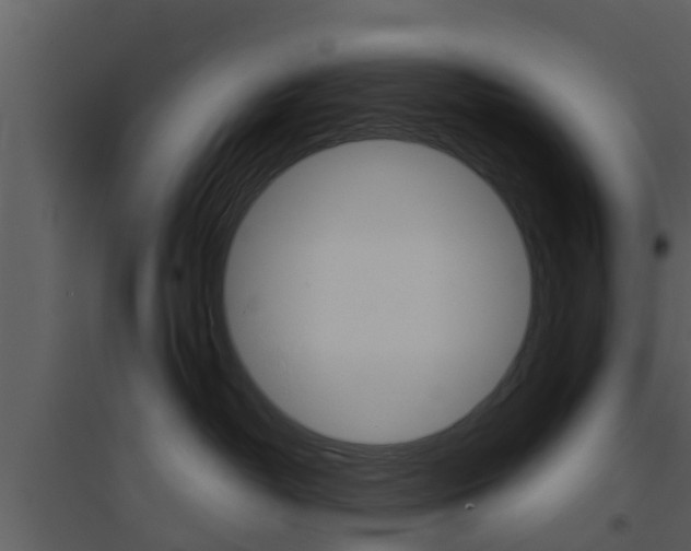 X0000094790382200711160923