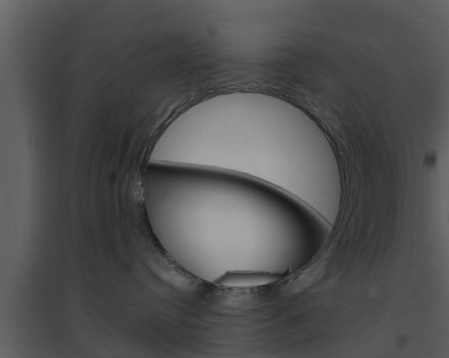 X0000094790384200711160923