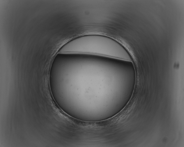 X0000094790385200711160922