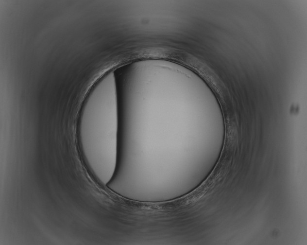 X0000094790386200711160922