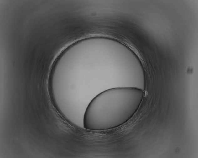 X0000094790387200711160922