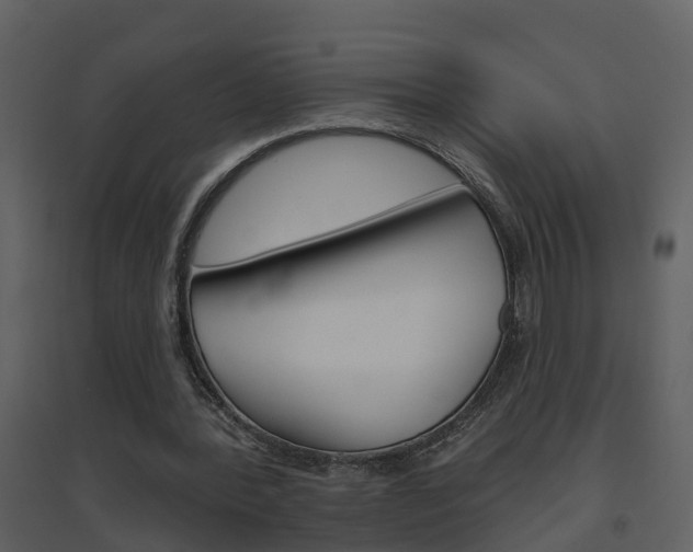 X0000094790388200711160922