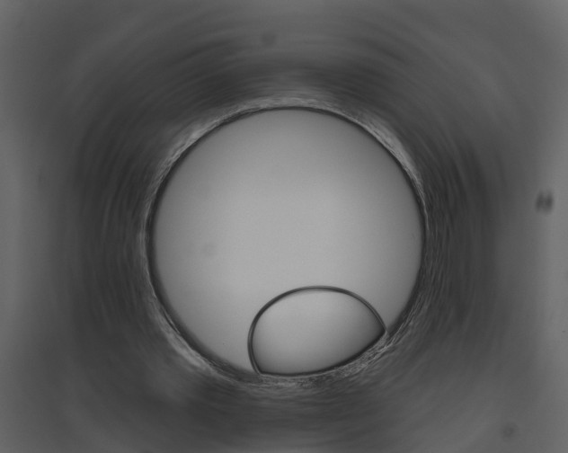 X0000094790389200711160922