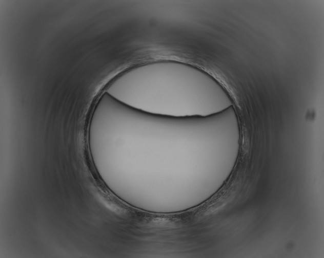 X0000094790390200711160922