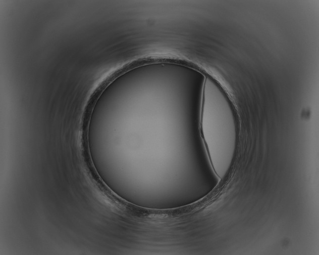 X0000094790391200711160922