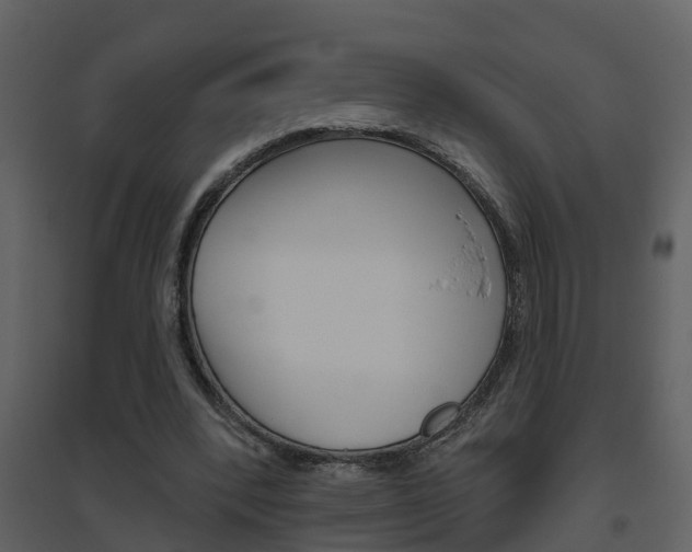 X0000094790392200711160922