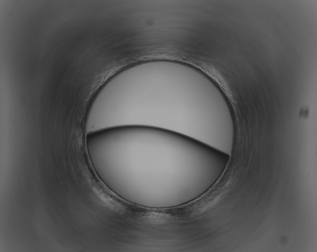 X0000094790393200711160922