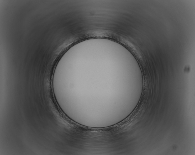 X0000094790394200711160922