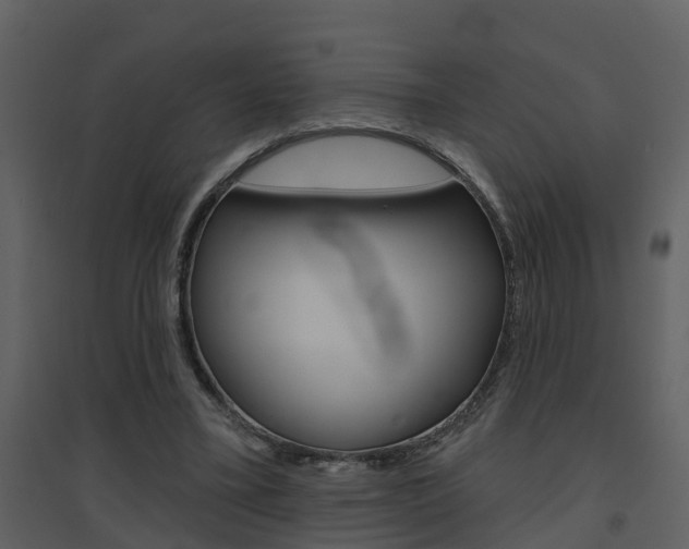 X0000094790395200711160922