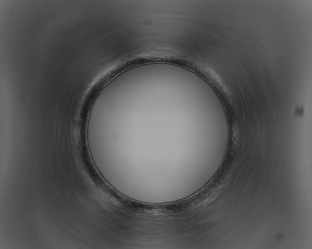 X0000094790396200711160922