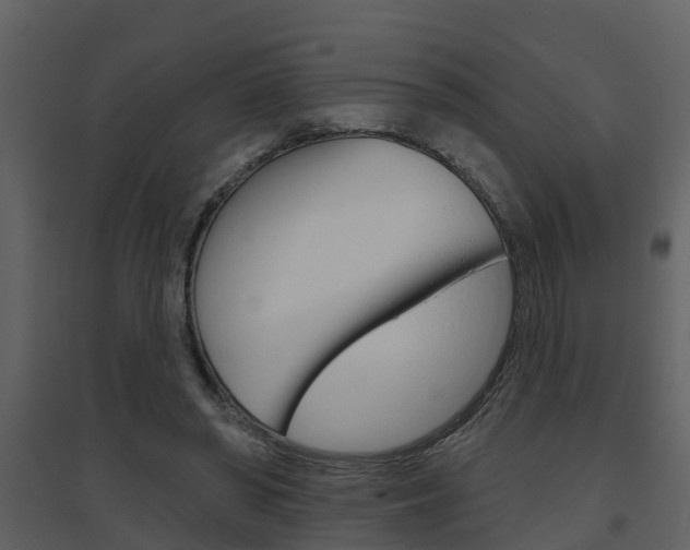 X0000094790398200711160922