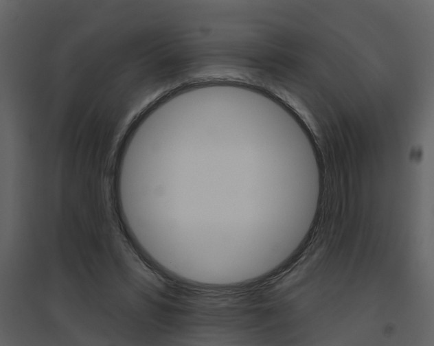 X0000094790399200711160922