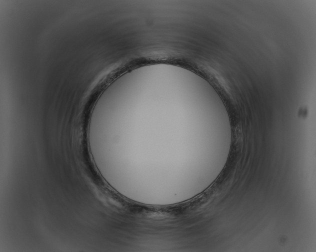 X0000094790400200711160922