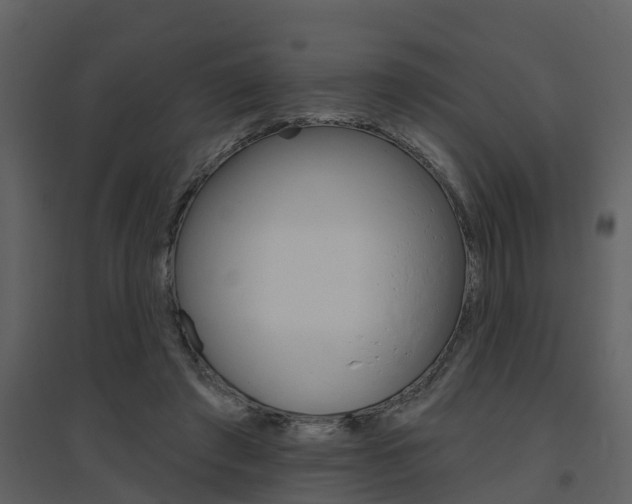X0000094790401200711160922
