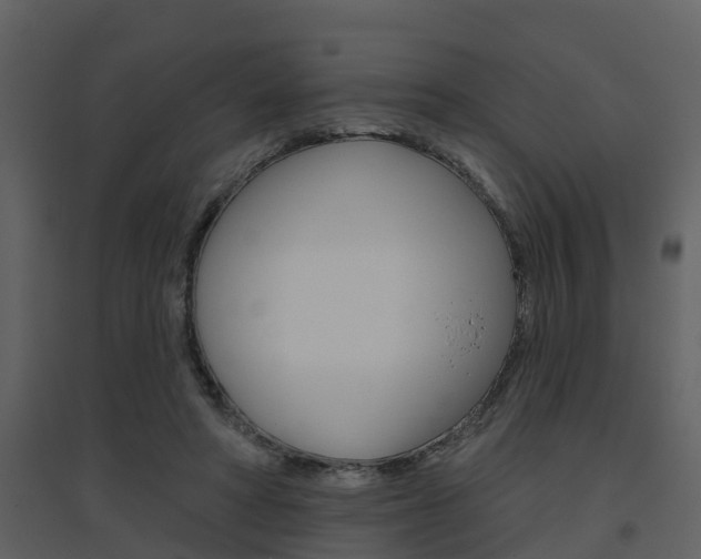X0000094790402200711160922