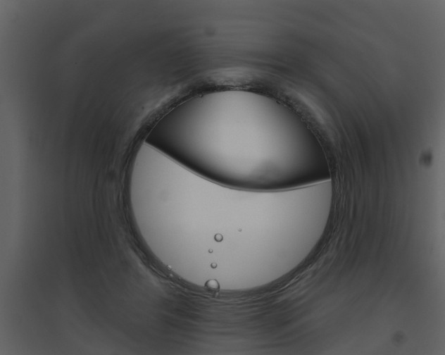 X0000094790404200711160922