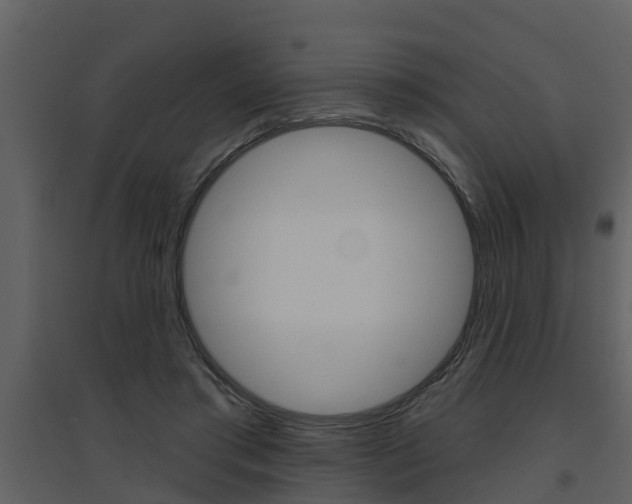 X0000094790405200711160922