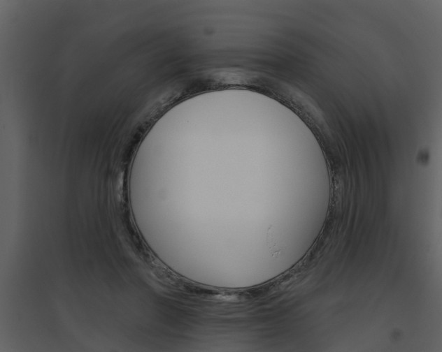 X0000094790406200711160922