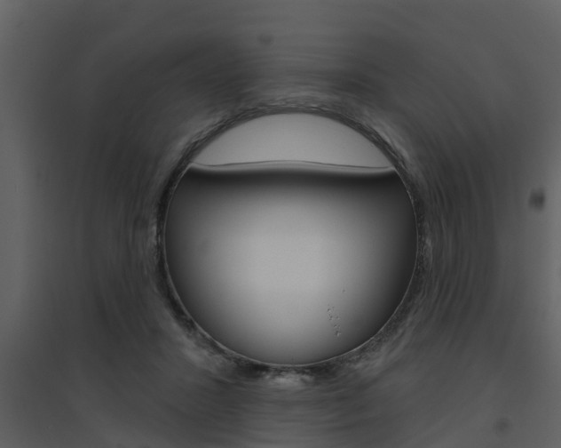X0000094790407200711160922