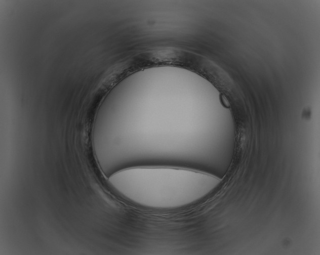 X0000094790408200711160922