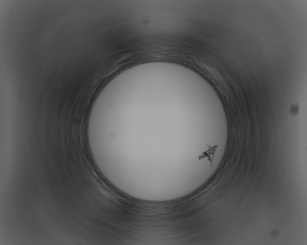 X0000094790409200711160922