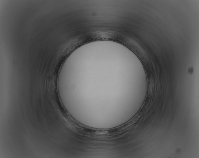 X0000094790410200711160922