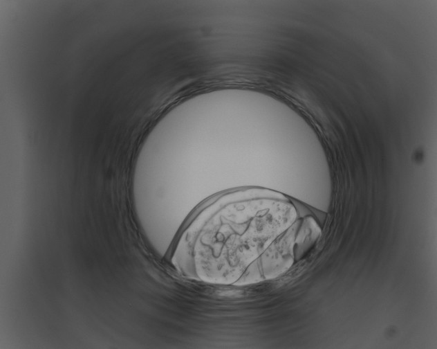 X0000094790413200711160921