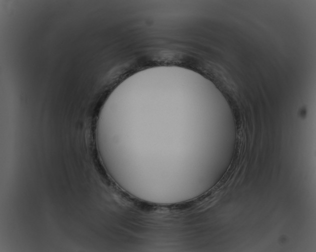 X0000094790416200711160921