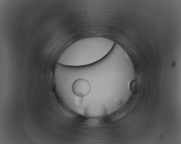 X0000094790418200711160921