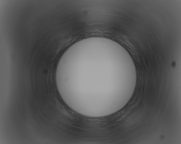 X0000094790419200711160921