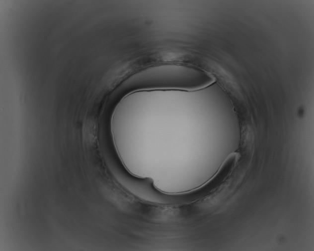 X0000094790421200711160921