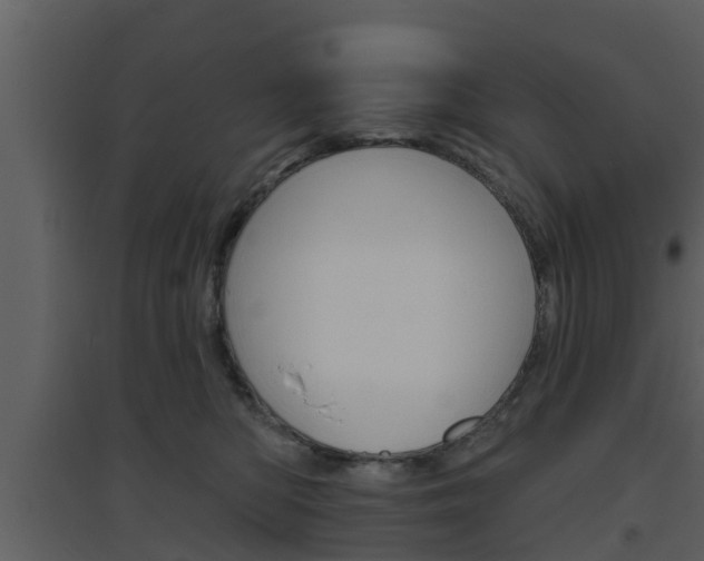X0000094790422200711160921