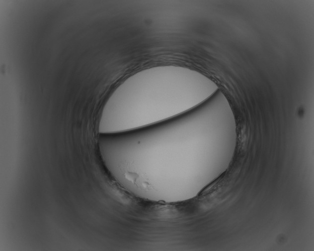 X0000094790424200711160921