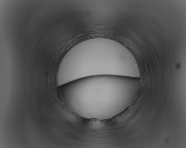 X0000094790425200711160921