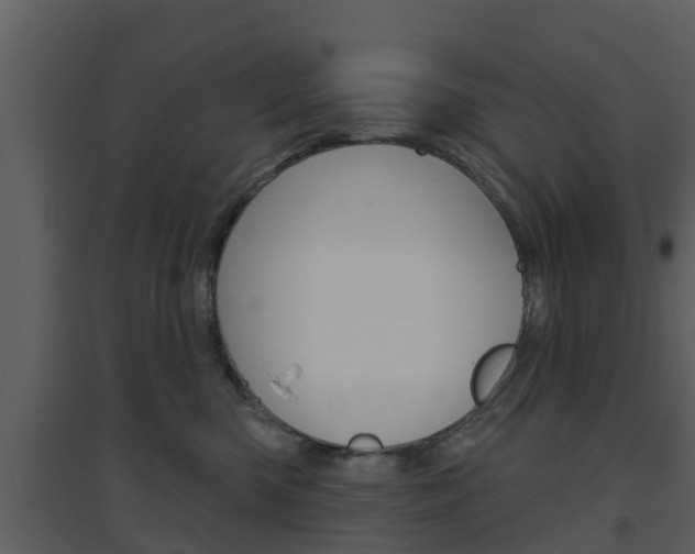 X0000094790426200711160921