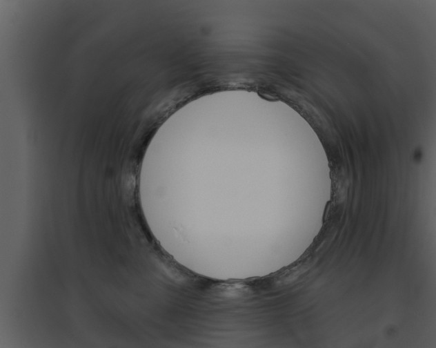 X0000094790427200711160921