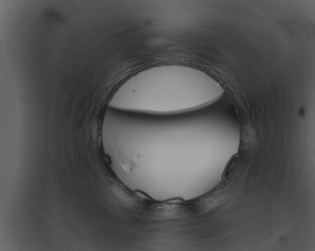 X0000094790428200711160921