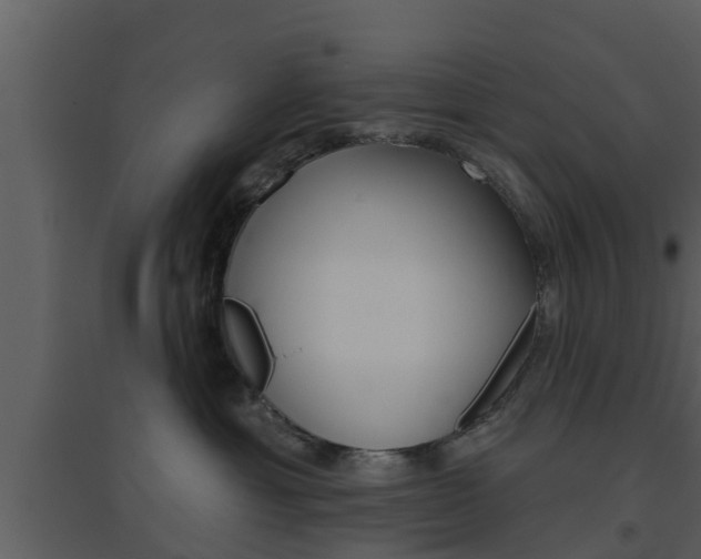 X0000094790429200711160921