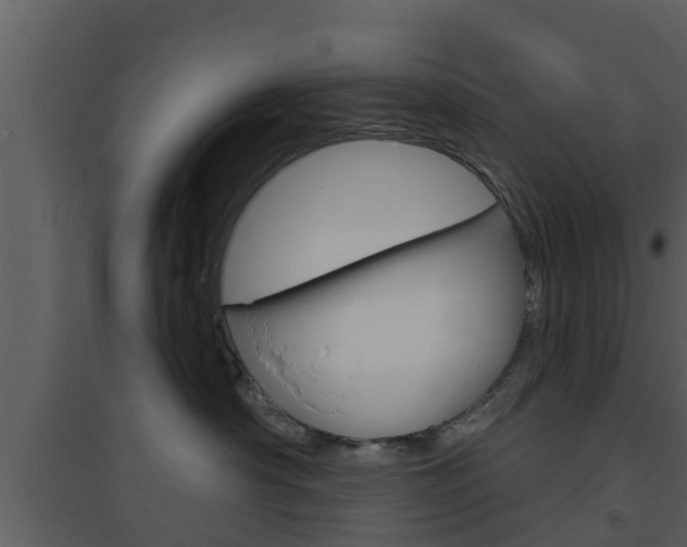 X0000094790430200711160921