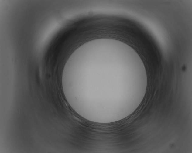 X0000094790431200711160921