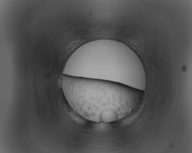X0000094790432200711160921