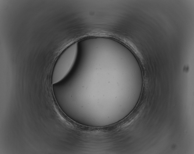 X0000094790433200711160921