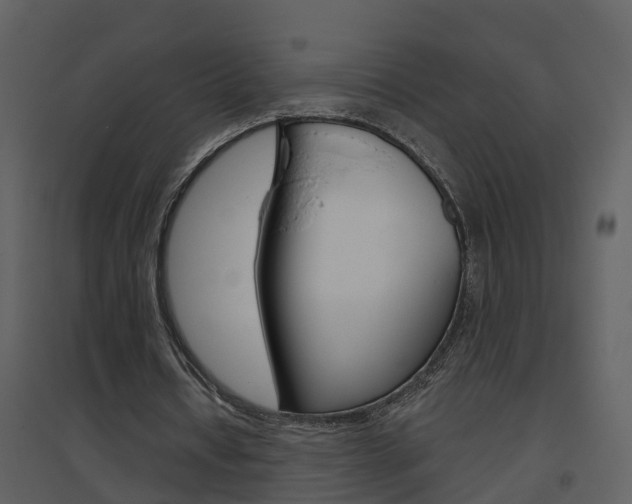 X0000094790434200711160921