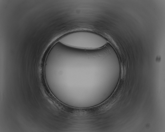 X0000094790435200711160921
