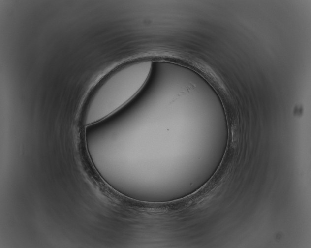 X0000094790436200711160921