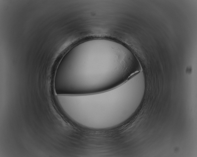 X0000094790440200711160921